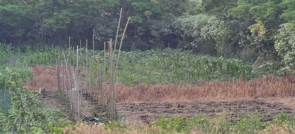 Продава се Къща в Каварна - 71 кв.м за 360 €/кв.м - Снимка #10