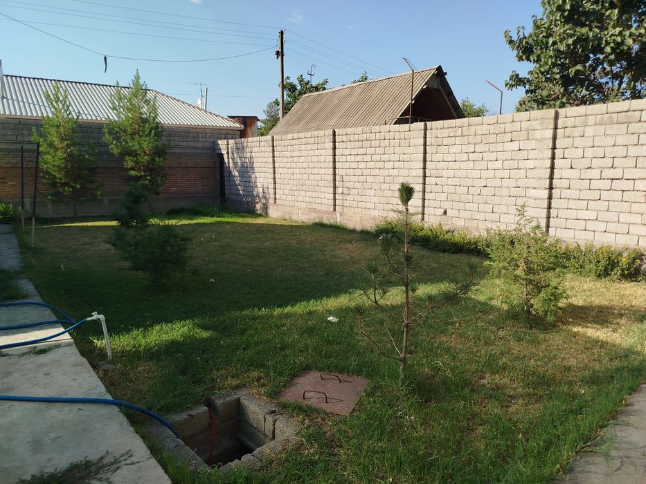 Chorvoq ketaverishadi platina oldida