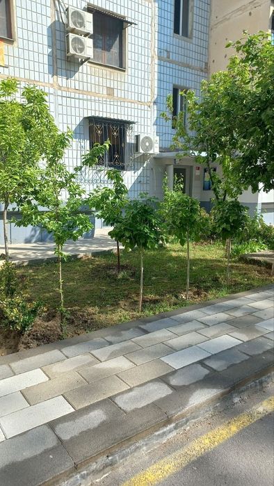 З хонали уй сотилади Алгоритм