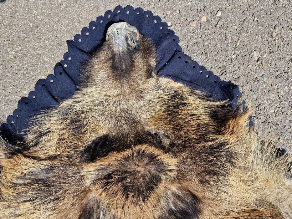 Blană ornamentală de mistreț