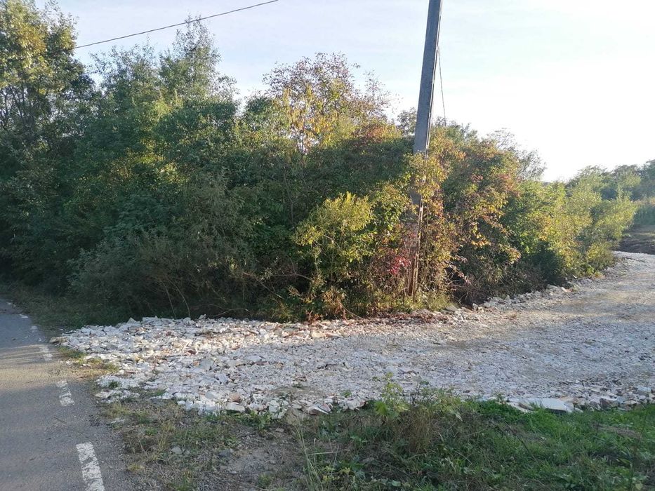 Gradina de vanzare