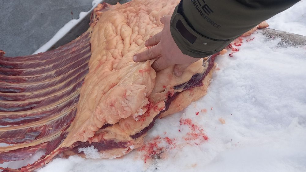 Мясо конины согым