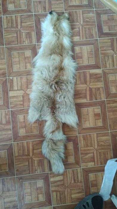 Шапка из лисы и овчины