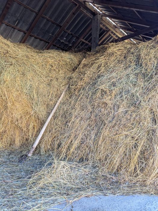 Vând fân cosit anul trecut