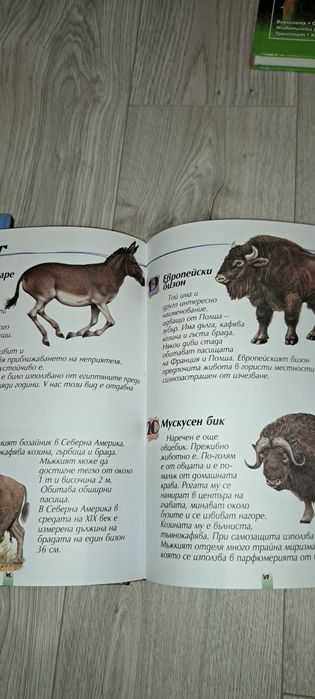 Детски книжки, нови