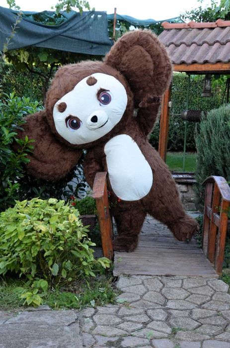 Изненада с Панда, розов, лилав и син Стич, Бяло Мече, рожден ден.