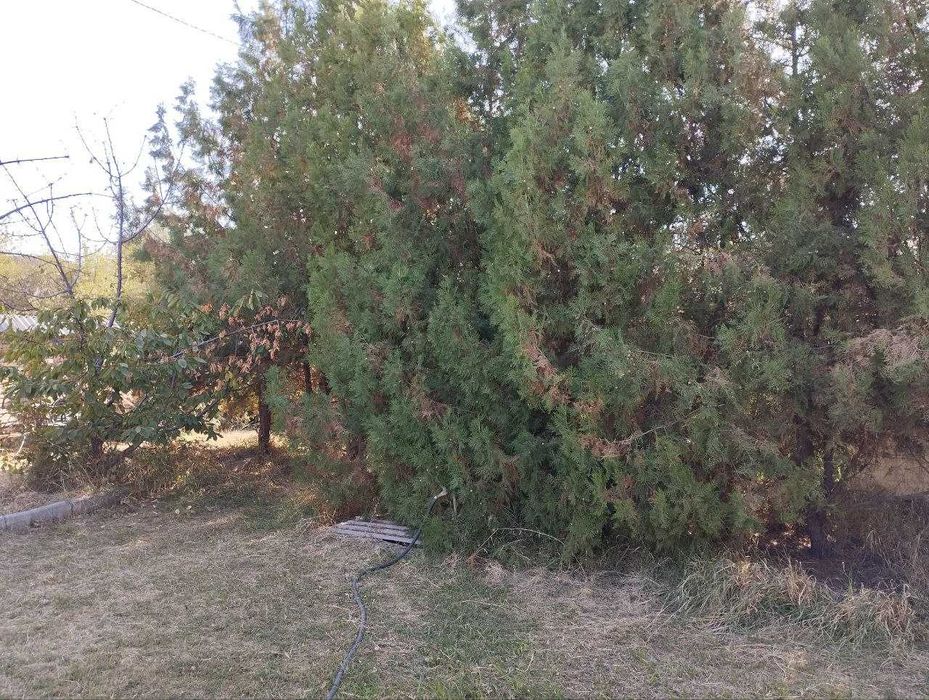 4  сотих ер сотилади