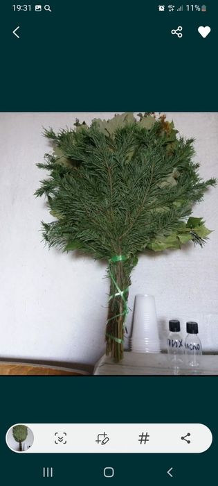 Банные веники в ассортименте