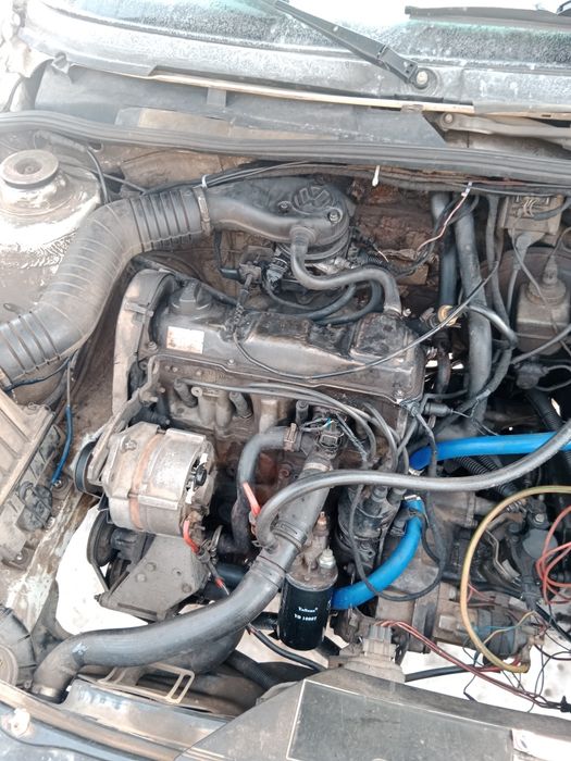 Продам рабочую лошадку