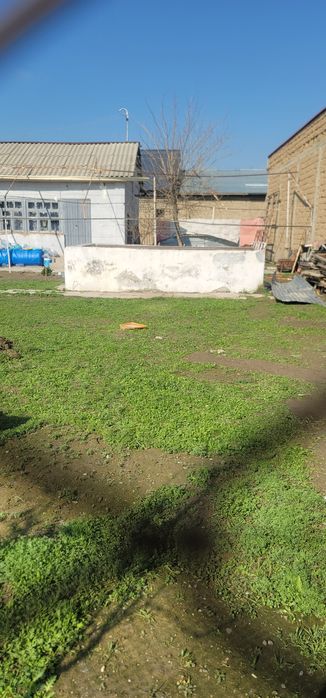 Sayoxatda 6 sotiqlik dacha sotiladi