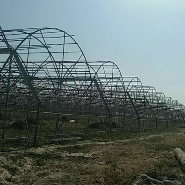 Парник иссикхона том навес куриш черес фирма оркали  пул суриш йули би