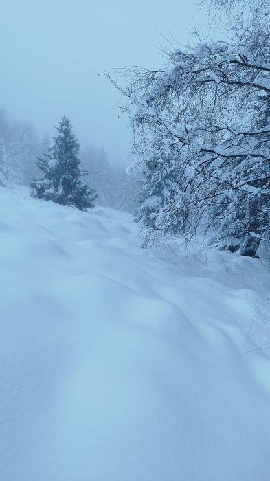 Teren PREMIUM 3000 mp Râușor – lângă pârtia de schi | Investiție turistică de top