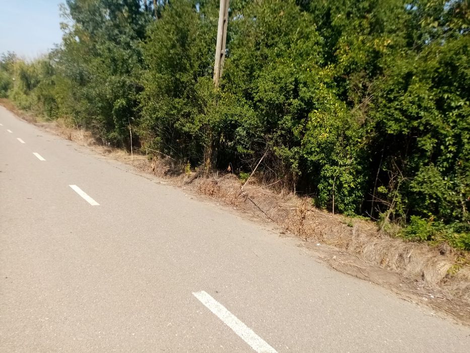 Teren 462mp  Intravilan - Comuna Schitu, Jud Giurgiu