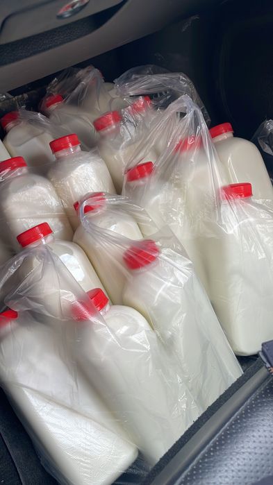 Козье молоко. Ешкі сүті