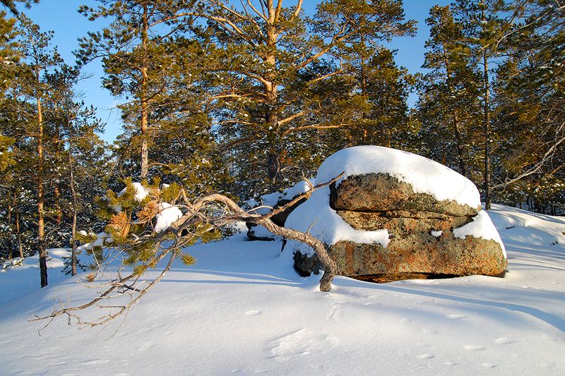 Отдых Каркаралинск