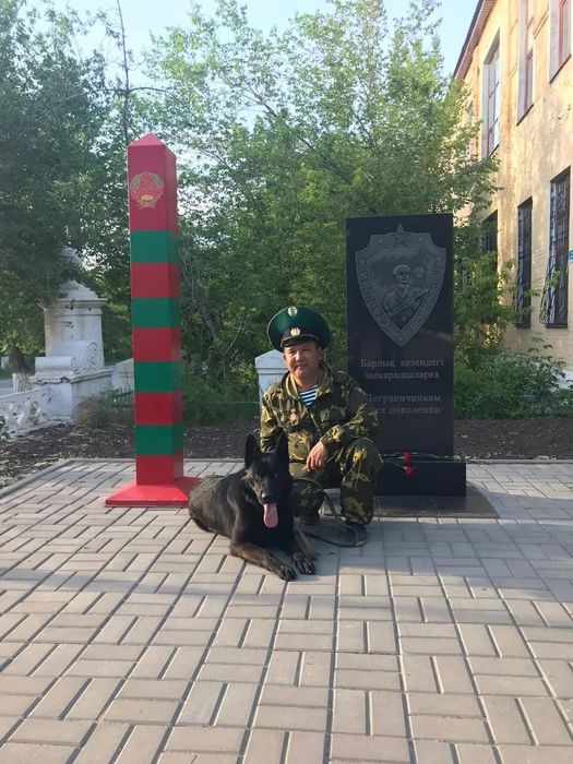 Собака для случки ищем девочку  дддддддддддддддддддд