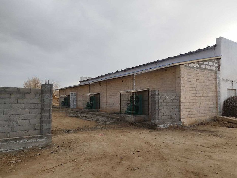 Музлатгичли омборхонада сақланган қизил ва сариқ сабзи .