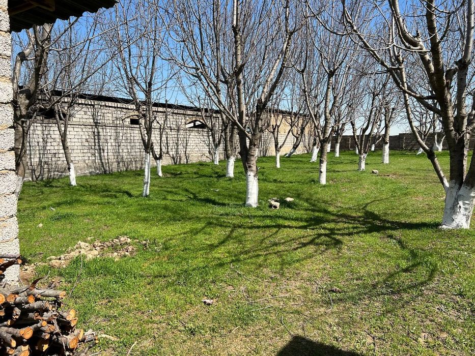 Ер участкаси сотилади 12 сотих