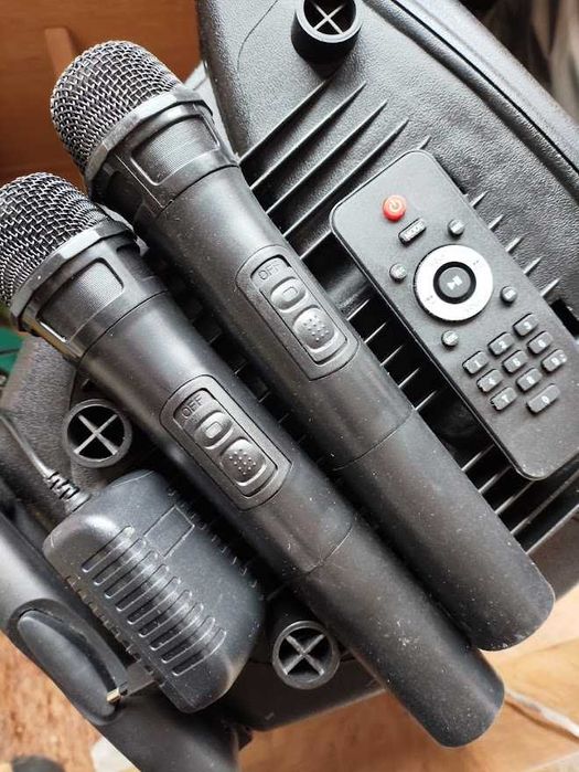 Караоке Тонколона 12 инча