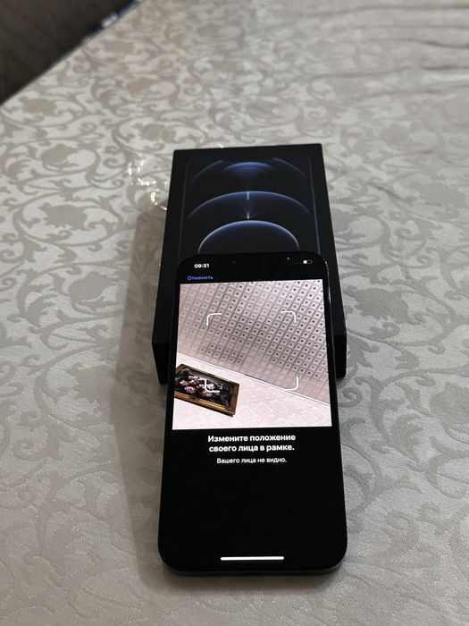 Iphone 12 Pro Max 256