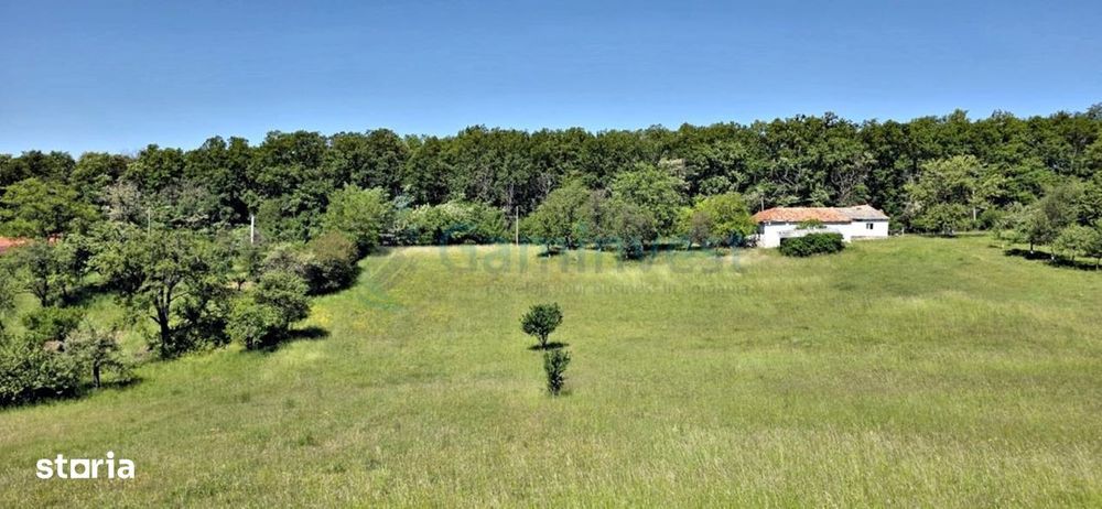 Casa si teren in Fasca, langa padure, 45 km Oradea Gaminvest V4621