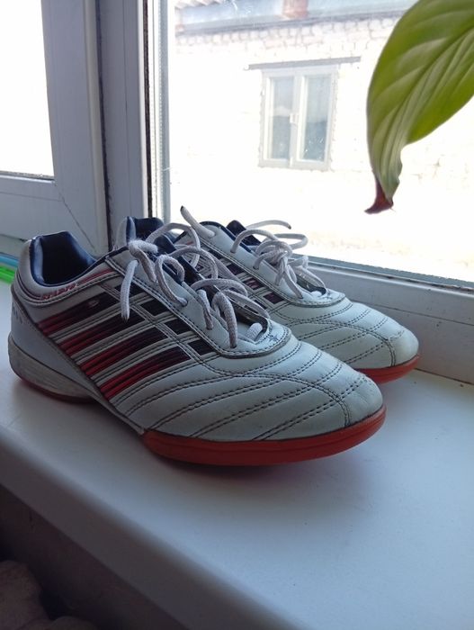 Сороконожкий хороший