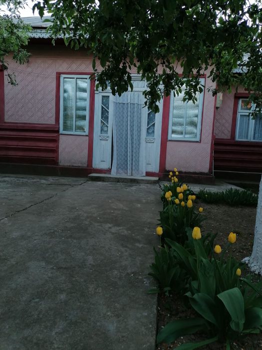 Casa batraneasca in Cosmesti Vale - teren generos, zona linistita