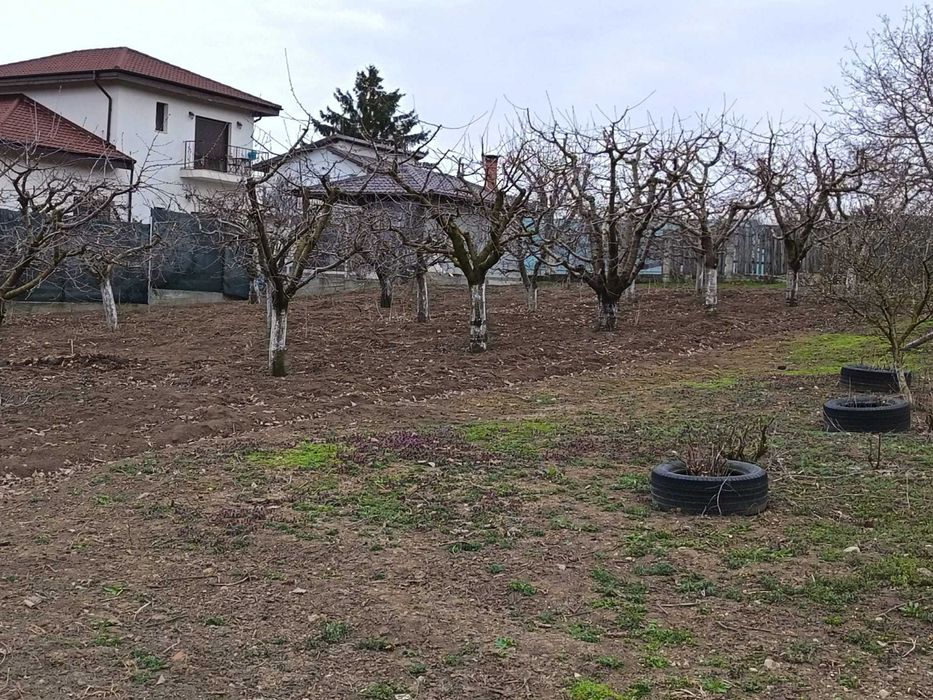 Vils la gri in Buftea, Strada Indepententei,NR 8 ,Calul Balan