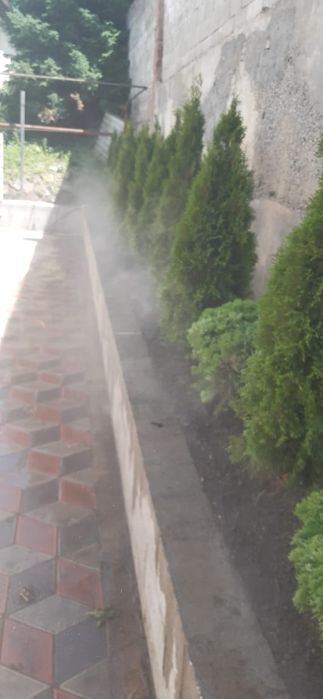 Автополива Hunter.