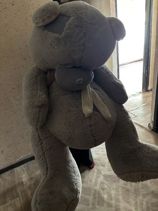 Теды игрушка новый сатылыды