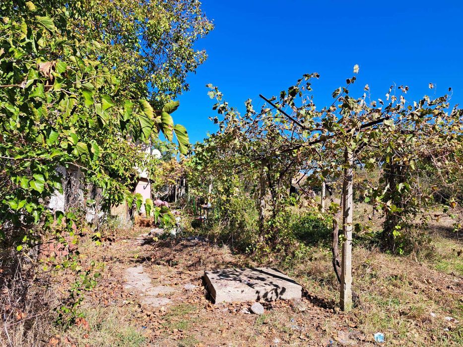 Продава се Къща в с. Юлиево, Област Стара Загора - 60 кв.м за 298 €/кв.м - Снимка #1