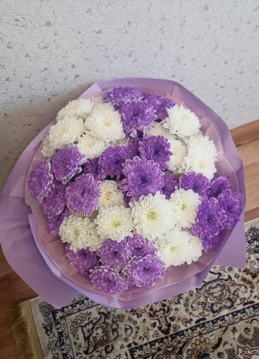 Продам цветы хризантема