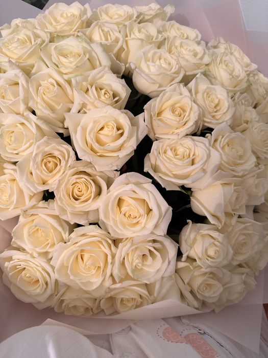 Балғын 51 розалық гүлмен Әдемі үрленген шарик