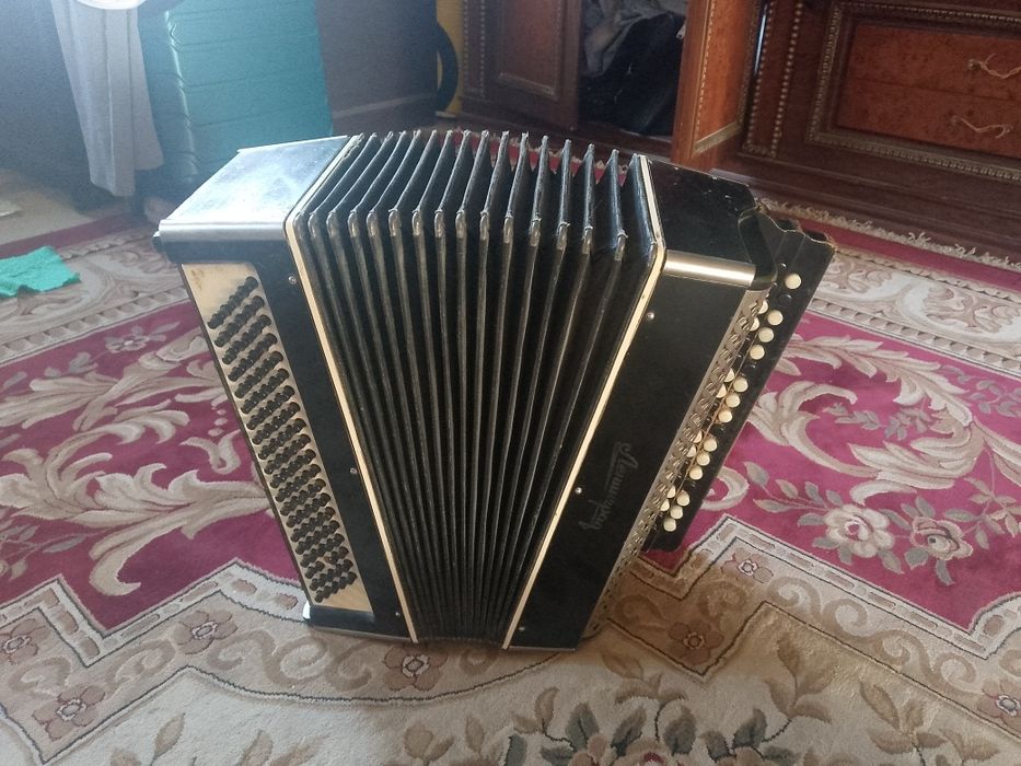 akardion Leningratsky SSSR davriniki lekn holati ajoyib