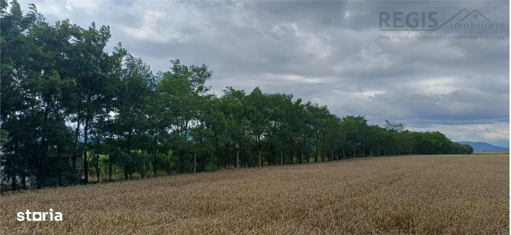 Teren pretabil exploatare balastiera Harman , parc industrial sau dezv