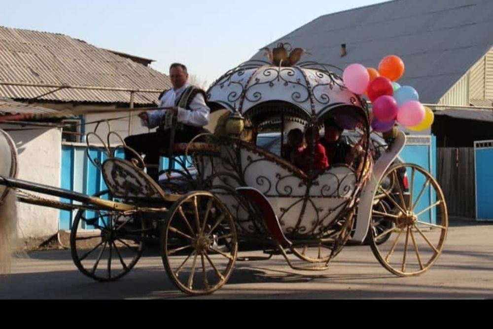 Катание на Каретах