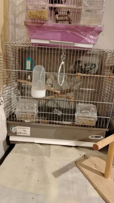 Cuști păsări  mici mari