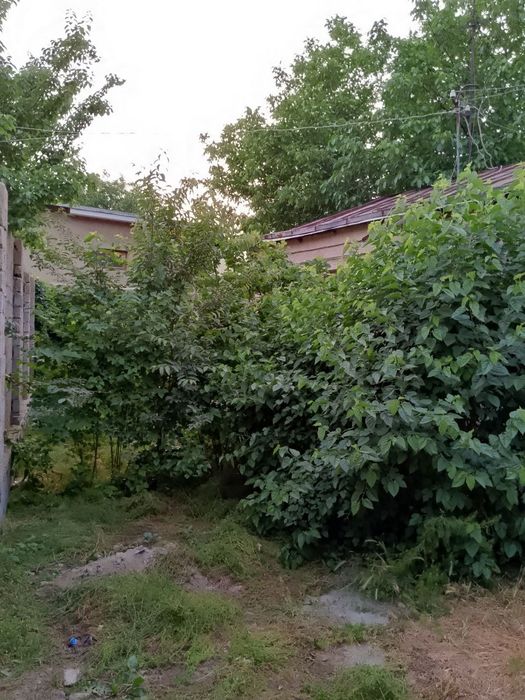 Срочно продаётся дом 2,5 сотки,Каримбек