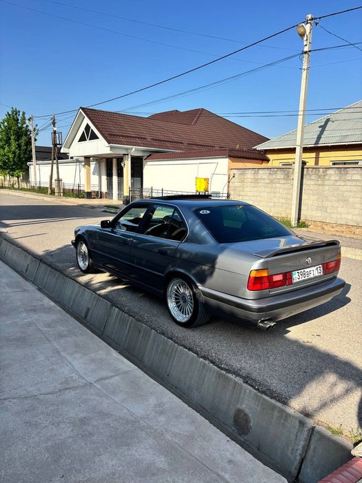 Альпина R18 разна широки.