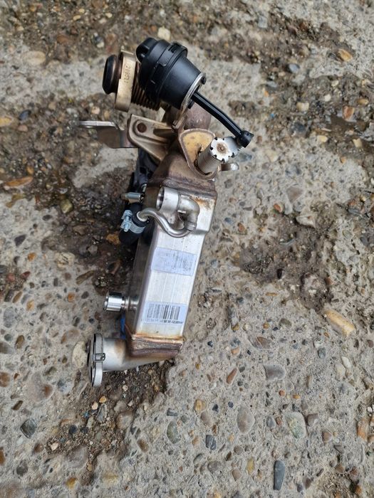 Racitor Gaze,Egr BMW X 5, X6 Motor 3000 euro 5 Original 306 Kai