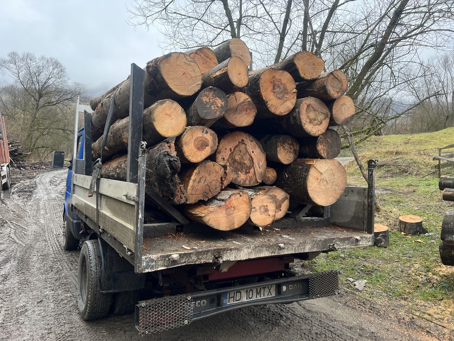 Lemn de foc  DOAR FAG 3,6 cub