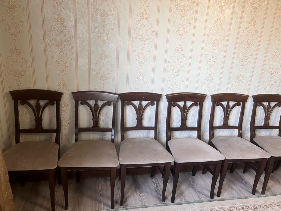 Стулья 20 штук всего