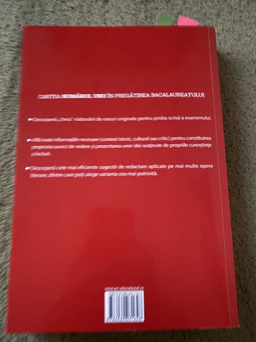 Eseul- ghid pentru pregatirea examenului de bacalaureat