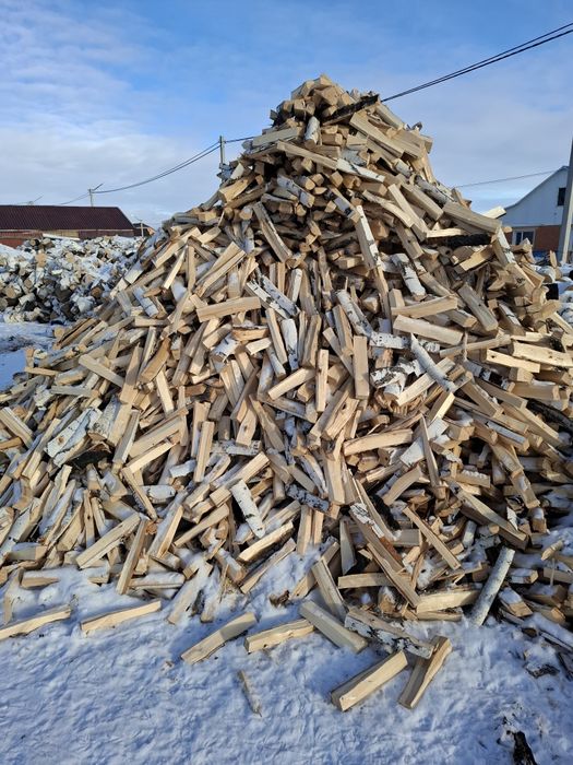 Дрова сухие береза. Кокшетау