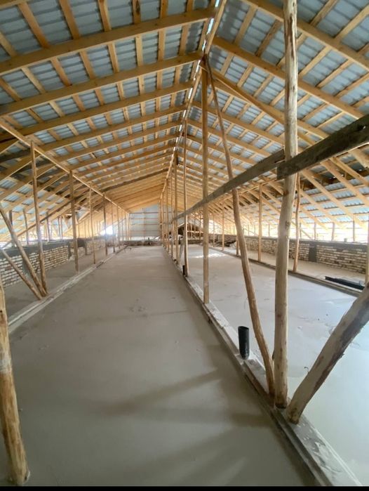 Penalomboz,tombosti ,lomboz ломбоз, томшувок томбости, penablok pena