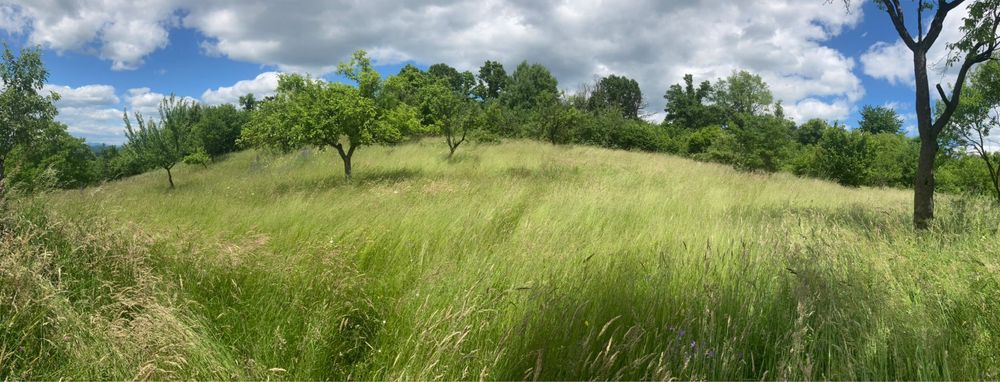 Vand teren intravilan 61 ari zona de munte,13 km de Cavnic.