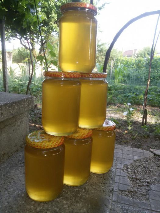 Мед от(магарешки бодил)=12лв..