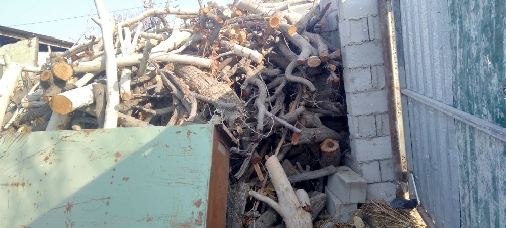 O'tin sotilade ho'l quruq aralash zaldore chinor tut o'tinlar katta ka