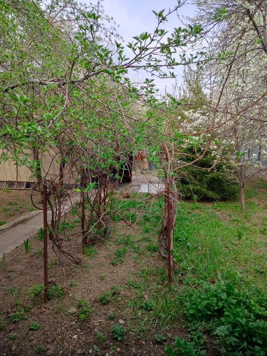 Продается отдельный дом /дача