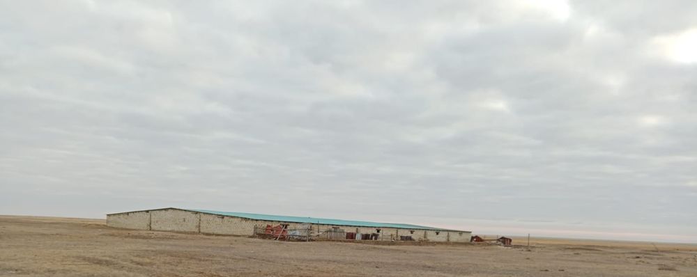 Шаруа кожалык сатылады